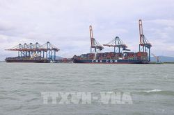 Thống nhất đề án nghiên cứu xây dựng cảng trung chuyển quốc tế Cần Giờ