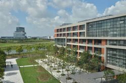 3 kiểu gia đình không nên cố cho con học trường quốc tế