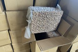 Hải quan Tây Ninh phát hiện lượng lớn hạt điều nhập khẩu không đúng khai báo