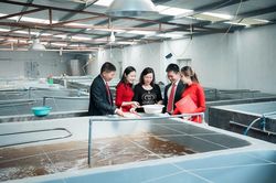 Agribank 'bơm' 3.000 tỷ đồng cho doanh nghiệp lâm sản, thủy sản