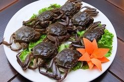Sán làm tổ trong phổi người đàn ông ăn gỏi cua sống