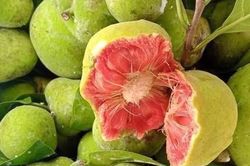 Loại quả vị chua chua, ruột hồng bắt mắt giá ngang trái cây nhập khẩu ở Hà Nội vẫn đắt khách