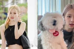 'Lời nguyền' Rosé BLACKPINK: Se duyên là đường ai nấy đi?