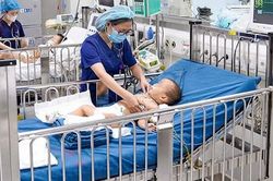 Cẩn trọng trong mùa rắn sinh sôi