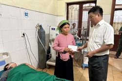 Hai bố con nhập viện vì ăn nấm rừng