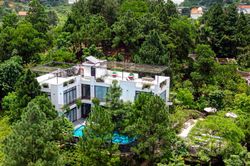 Chi cục Trưởng Kiểm lâm Hà Nội xót trước cảnh rừng Sóc Sơn bị 'xẻ thịt'