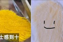 Thú chơi kỳ lạ biến hạt xoài thành 'thú cưng' gây sốt