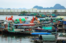 Bộ trưởng Lê Minh Hoan nêu lý do 6 năm chưa thể gỡ được 'thẻ vàng' IUU