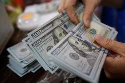 Giá USD hôm nay 11/8