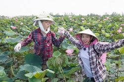 Thùy Tiên, Đức Phúc chỉ nhận được 50.000 đồng/tiếng khi làm công việc này!