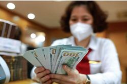Giai đoạn cuối năm, những yếu tố nào chi phối tỷ giá?