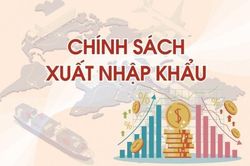 Quy định xóa nợ thuế đối với trường hợp doanh nghiệp đã bỏ trốn, mất tích
