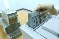 Tỷ giá USD hôm nay 11/8: Cập nhật tỷ giá USD trong nước và quốc tế