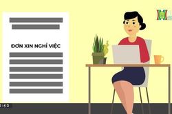 Có được đóng BHXH sau khi hưởng trợ cấp thất nghiệp? | Sống và làm việc theo pháp luật | 11/08/2023