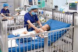 Tuyệt đối không làm điều này khi sơ cứu trẻ bị rắn cắn