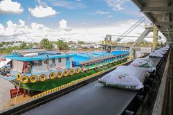Giá phân bón dự kiến sẽ tăng mạnh trong tháng tới