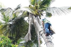 'Nhà khoa học' của nhà nông