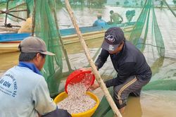 Mưu sinh bên lòng hồ thủy lợi Ia Mơr