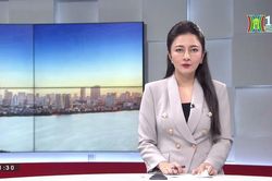 Chương trình Thời sự 11h30 | 12/08/2023
