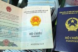 Từ ngày 15/8/2023, hai Luật nào sẽ có hiệu lực thi hành?