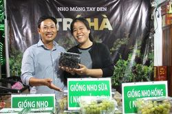 Ninh Thuận: Bắt đầu 'Bình chọn các sản phẩm OCOP được yêu thích' năm 2023