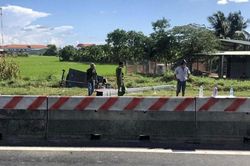 Cây rơi từ container đè chết người lái xe ba gác