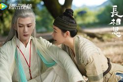 Trường Tương Tư nhận tin dữ nhưng fan không lo vì đã có 'bùa hộ mệnh' này