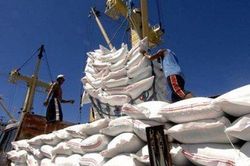 26 doanh nghiệp nông nghiệp niêm yết thu về hơn 27.000 tỷ đồng trong Quý II/2023