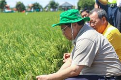 Đổi mới tư duy, ứng dụng khoa học công nghệ vào sản xuất nông nghiệp