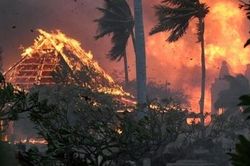 Thảm họa cháy rừng ở Hawaii, hòn đảo thiên đường hóa tro tàn, đổ nát