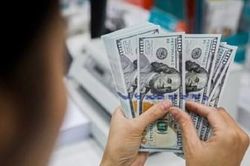 Tỷ giá USD hôm nay (14-8): Đồng USD sẽ tiếp tục tăng, mốc kháng cự là 104