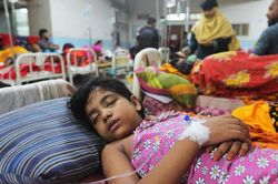 Bangladesh: 398 người tử vong vì sốt xuất huyết