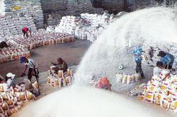 Xuất khẩu gạo tăng và khuyến nghị cho Việt Nam