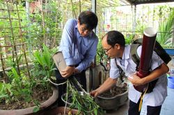 Hà Nội thêm 59 ổ sốt xuất huyết trong một tuần, nguy cơ bùng phát thành dịch