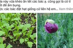 Phát hiện gần 400 hội nhóm, tài khoản mua bán trái phép ma túy trên MXH