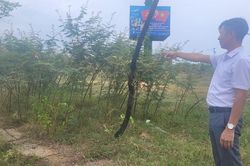 Hà Tĩnh: Công viên Nguyễn Trọng Bình nhếch nhác, hoang tàn