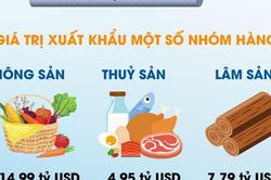 7 tháng năm 2023, xuất khẩu nông lâm thủy sản tăng trưởng dương