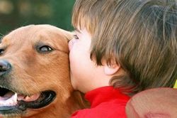 Cảnh báo nguy cơ trẻ em có thể nhiễm ấu trùng giun đũa từ chó, mèo