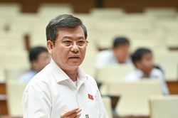 Đại biểu chất vấn về kỳ án gỗ trắc: 'Chẳng lẽ cả hệ thống tư pháp đành bó tay?'