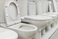 Không thấy WC, người phụ nữ 'xả' ngay tại bồn cầu mẫu gây choáng
