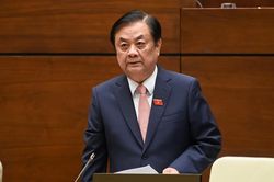 Tận dụng tốt quỹ không gian, thời gian để tạo thêm nguồn thu cho người nông dân