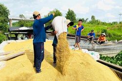 Giá gạo tăng từng ngày, Bộ Công Thương có động thái mới