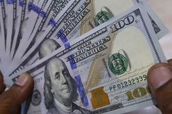 Bản tin tài chính sáng 15/8: USD lên cao nhất 5 tháng, vàng và dầu giảm giá