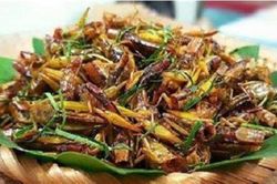 Một người phụ nữ tử vong sau khi ăn con châu chấu