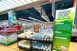Đưa sản phẩm OCOP đến gần hơn với người tiêu dùng