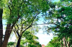 Gia Lai phấn đấu tỷ lệ đô thị hóa đạt 40% vào năm 2030