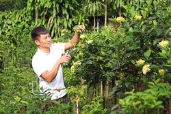 Thịnh Đức sử dụng hiệu quả nguồn vốn tín dụng chính sách