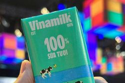 Dự báo biên lợi nhuận tăng, cổ phiếu VNM có hút tiền trở lại?