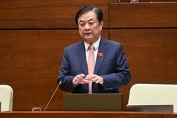 Xuất khẩu gạo: Bình tĩnh để làm ăn lâu dài