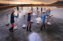Việt Nam phải chi hàng tỷ USD để nhập muối, đại biểu Quốc hội chất vấn Bộ trưởng Bộ NN&PTNT